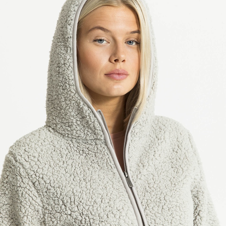 Ziphood "Teddy" Ziphood "Teddy"